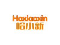 哈小新