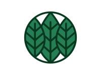 杉杉图形