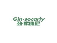 劲.索康尼GIN.SOCARIY