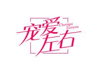 宠爱左右