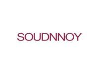 SOUDNNOY