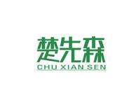 楚先森