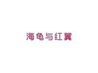 海龟与红翼