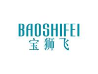 宝狮飞