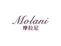 摩拉尼