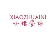 小猪爱你