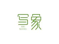 写象