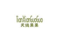 天线果果