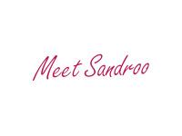 MEETSANDROO