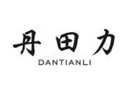 丹田力