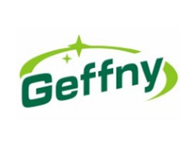 GEFFNY11 20类同名