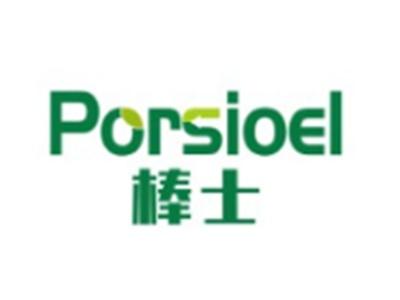 棒士PORSIOEL11 12类同名
