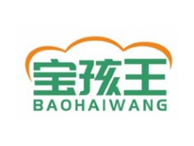 宝孩王BAOHAIWANG