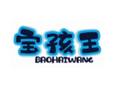 宝孩王BAOHAIWANG