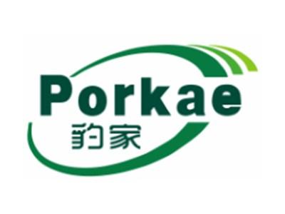 豹家PORKAE6 11类同名