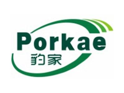 豹家PORKAE6 11类同名
