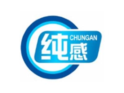 纯感CHUNGAN21 27类同名