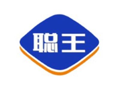 聪王5 12类同名