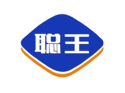 聪王CONGWANG