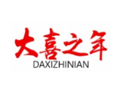 大喜之年DAXIZHINIAN