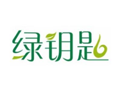 绿钥匙29 31类同名