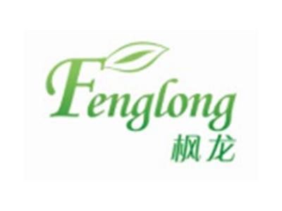 枫龙FENGLONG16 11类同名