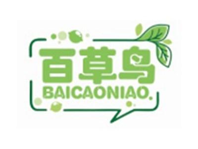 百草鸟BAICUONIAO