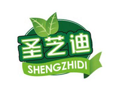 圣芝迪+拼音
