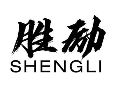 胜励+拼音