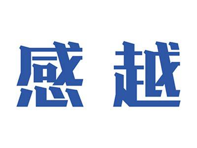 感越
