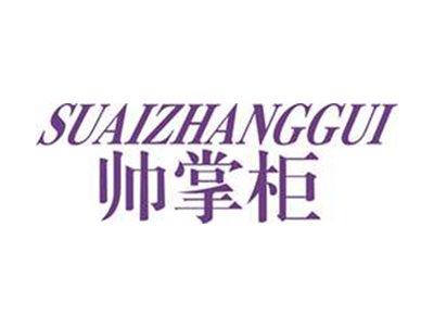 帅掌柜+拼音