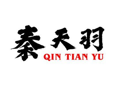 秦天羽+拼音