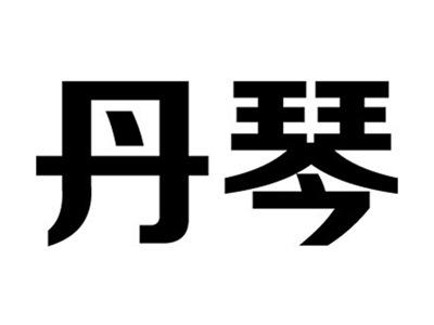 丹琴