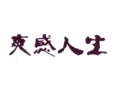 爽感人生