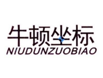 牛顿坐标
