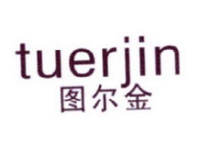 图尔金