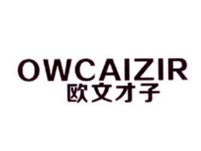 欧文才子