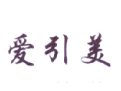 爱引美