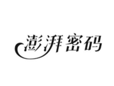 澎湃密码