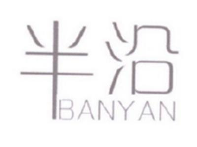 半沿