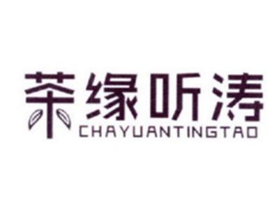 茶缘听涛