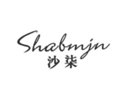 沙柒