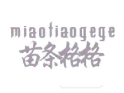 苗条格格
