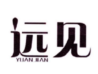 远见