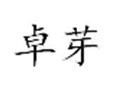 卓芽