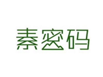 素密码