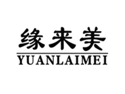 缘来美