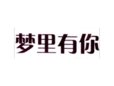 梦里有你