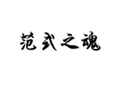 范式之魂