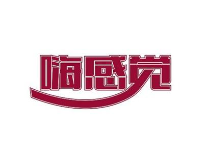 嗨感觉
